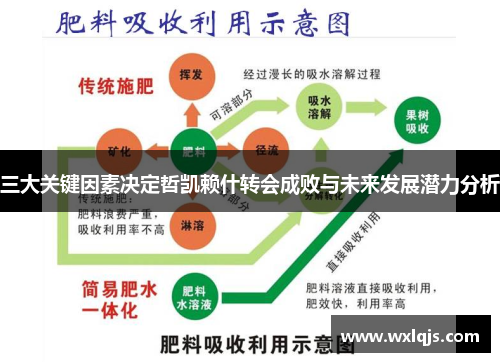 三大关键因素决定哲凯赖什转会成败与未来发展潜力分析