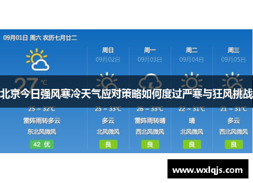 北京今日强风寒冷天气应对策略如何度过严寒与狂风挑战